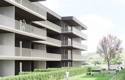 Sältimattenstrasse, Steg VS, Valais 3940