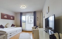 Sierre, Valais 3960