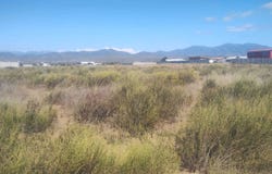Guanaqueros, Guanaqueros, Coquimbo