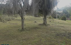 lot: E, Copacabana, Copacabana