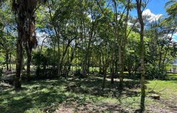 Sendero Ecologico Km 2, Villavicencio, Villavicencio, Meta, Villavicencio, Meta