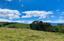 Moniquira, Boyaca 154260