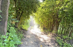 5VQ3+75, Santa Marta, Magdalena 470008