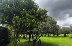 Lote Tiplerojo, Cajicá, Cajica, Cundinamarca,, Cundinamarca