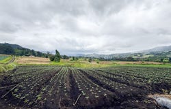 Tabio, Cundinamarca 250237