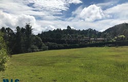 unit: 3, Envigado, Envigado