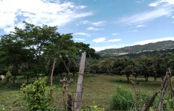 Soledad, Cundinamarca 252648