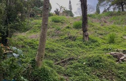 unit: 0, Medellín Poblado, Medellín Poblado