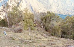 Pacho, Cundinamarca 254001