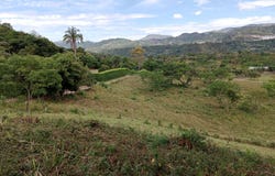 Soledad, Cundinamarca 252648