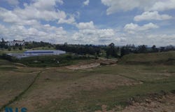 unit: 24, Rionegro, Rionegro