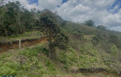 unit: 0, San Vicente, San Vicente