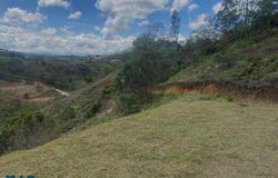 unit: 0, San Vicente, San Vicente