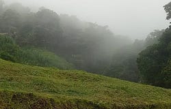 Minca, Minca, Magdalena 470008