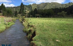 unit: 1, Guarne, Guarne