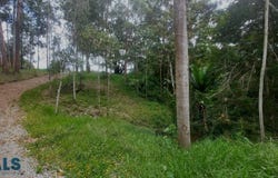 unit: 13, La Ceja, La Ceja