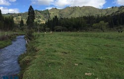 unit: 1, Guarne, Guarne