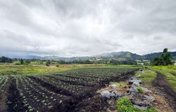 Tabio, Cundinamarca 250237