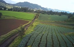Tabio, Cundinamarca 250237