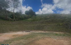 unit: 0, San Vicente, San Vicente