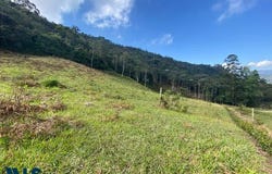 unit: 3, Rionegro, Rionegro