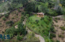 unit: 0, San Vicente, San Vicente