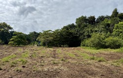 Golfito>Pavones, Pavones, Puntarenas, Pavones, Puntarenas