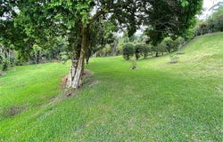 San Isidro, San Isidro, Alajuela 20301