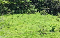 Carbon, Cahuita, Limon 70403