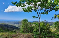 Sámara, Sámara, Guanacaste Province