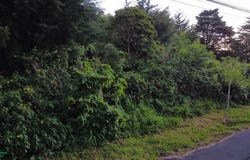 Heredia, San Rafael, Heredia Province 40501