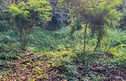 Large Ocean View Lot at Santiago, Santa Teresa, Puntarenas Province