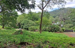 Sámara, Sámara, Guanacaste Province