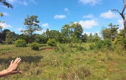 Cobano, Cobano, Puntarenas 60111