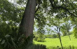Sámara, Sámara, Guanacaste Province