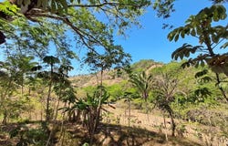 Sámara, Sámara, Guanacaste Province