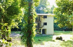 Limonal, Cahuita, Limon 70403