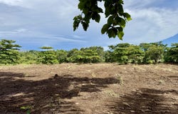 Golfito>Pavones, Pavones, Puntarenas, Pavones, Puntarenas