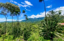 Puntarenas, Ojochal, Costa Rica, Ojochal, Puntarenas, Ojochal, Puntarenas