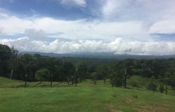 Expansive 83-Hectare Agricultural & Ranch Land in Sarapiquí, Heredia, Sarapiqui, Heredia