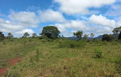 Cobano, Cobano, Puntarenas 60111