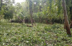 Eco-Reserva Bajamar , Lagunillas, Garabito, Puntarenas, Garabito, Puntarenas