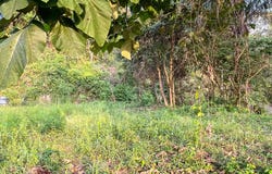 Large Ocean View Lot at Santiago, Santa Teresa, Puntarenas Province