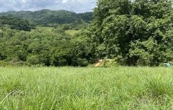 Sámara, Sámara, Guanacaste Province