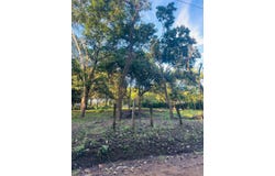 Finca Panama, Guanacaste Province, Guanacaste Province