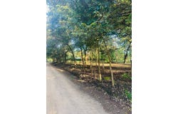 Finca Panama, Guanacaste Province, Guanacaste Province