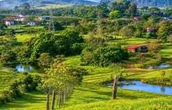 San Carlos, Quesada, Alajuela Province 21001