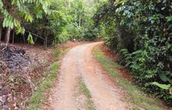 Osa>Sierpe, Sierpe, Puntarenas, Sierpe, Puntarenas