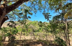 Sámara, Sámara, Guanacaste Province