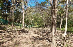 Sámara, Sámara, Guanacaste Province